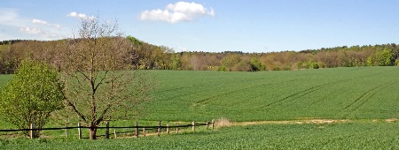 Bild Frühling im Tal